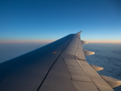 Traffic development: February 2026